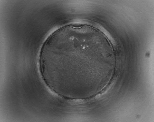 X0000103220853200808281406