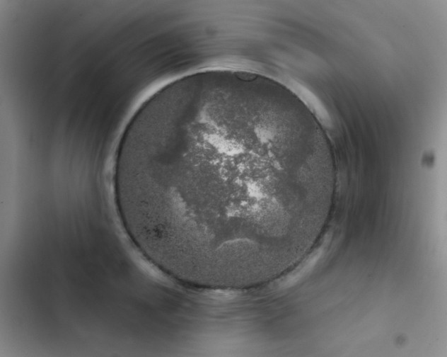 X0000103220854200808281406