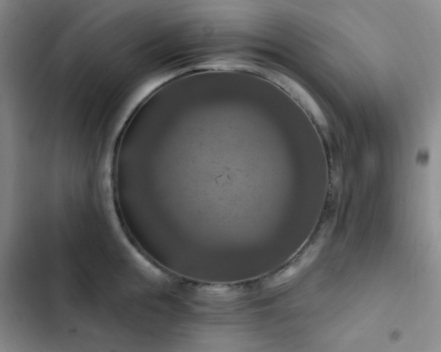 X0000103220855200808281406