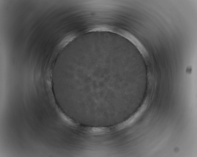 X0000103220857200808281406