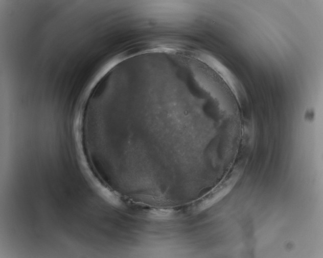 X0000103220859200808281406
