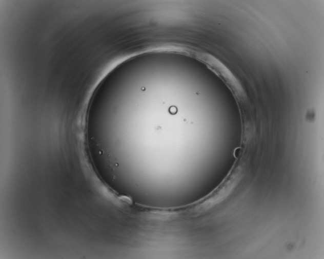 X0000103220860200808281406