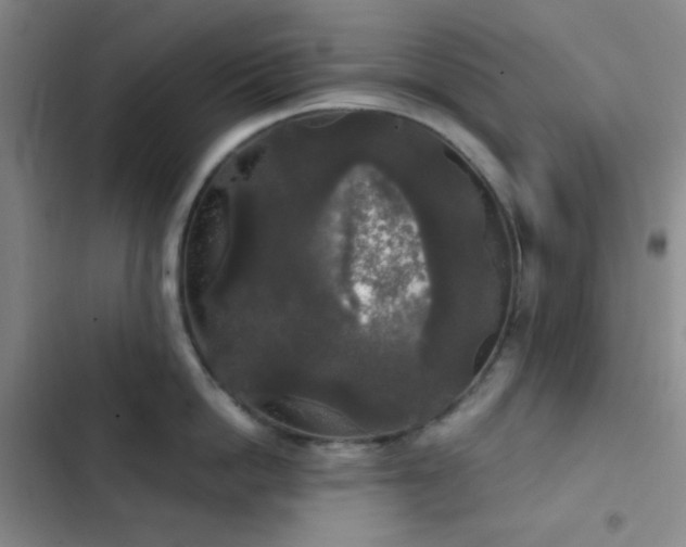 X0000103220862200808281406