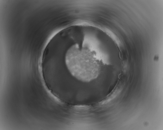 X0000103220863200808281406