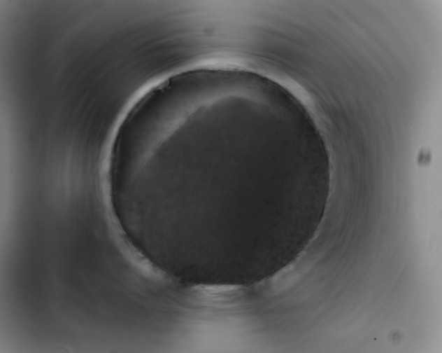 X0000103220864200808281406