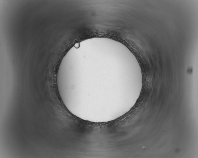 X0000103220865200808281405