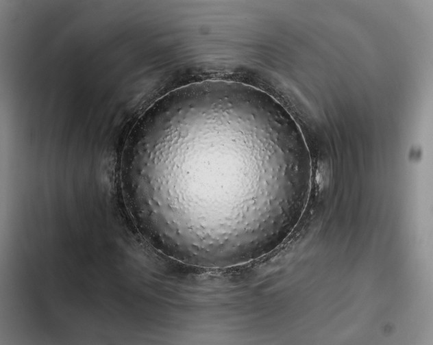 X0000103220867200808281405