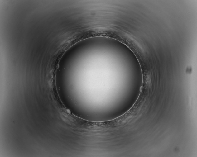 X0000103220868200808281405