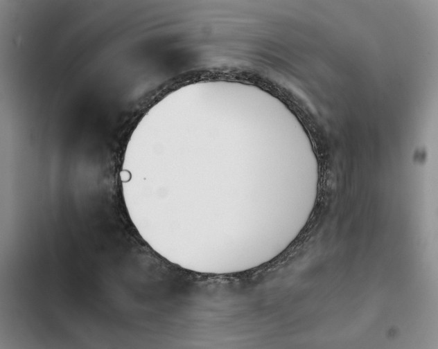 X0000103220869200808281405