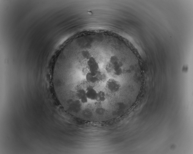 X0000103220871200808281405