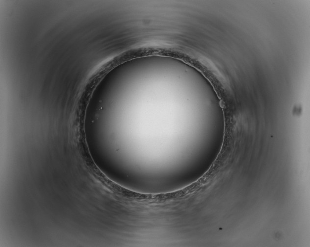 X0000103220872200808281405