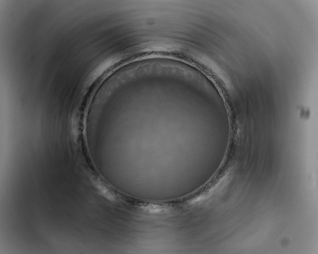 X0000103220874200808281405