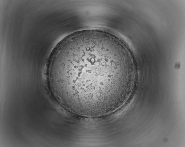 X0000103220875200808281405