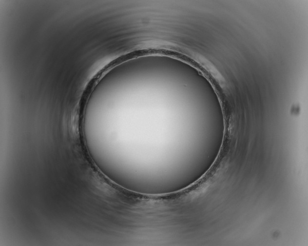 X0000103220877200808281405