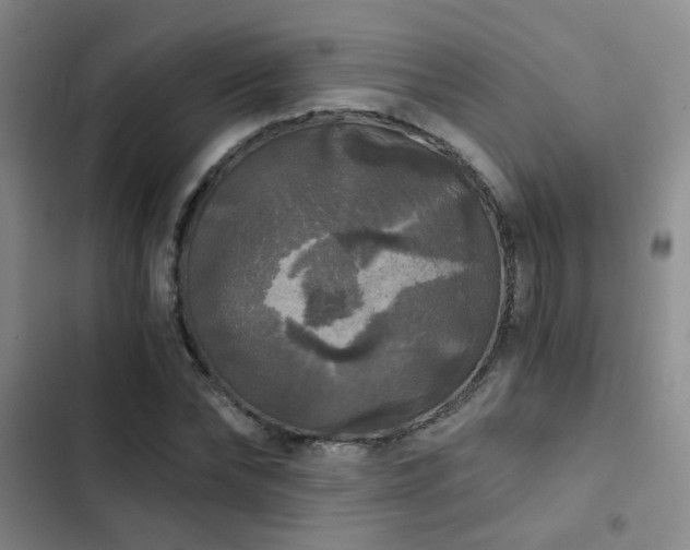 X0000103220878200808281405