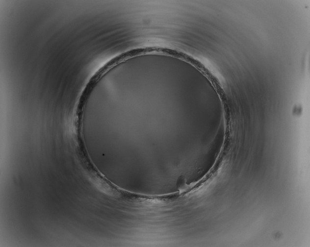 X0000103220879200808281405