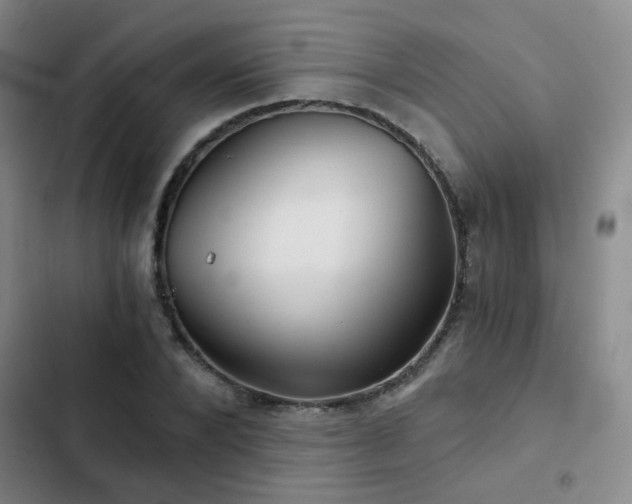 X0000103220880200808281405
