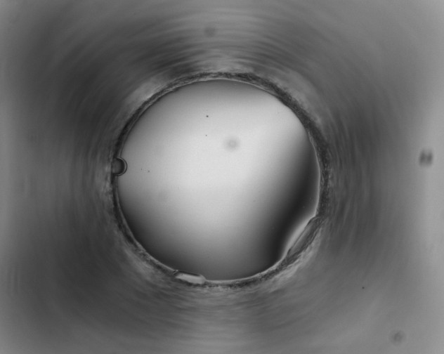 X0000103220881200808281405