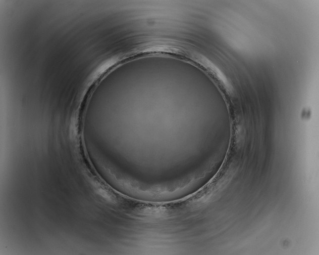 X0000103220882200808281405