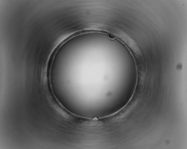 X0000103220884200808281405