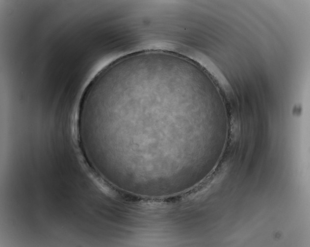 X0000103220886200808281405