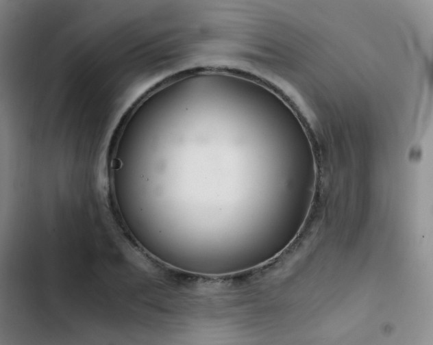 X0000103220887200808281405
