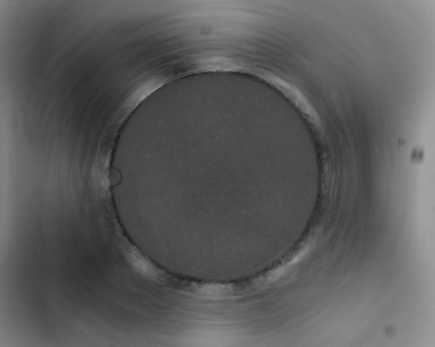 X0000103220889200808281405