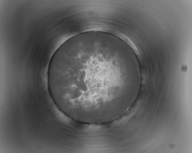 X0000103220890200808281405