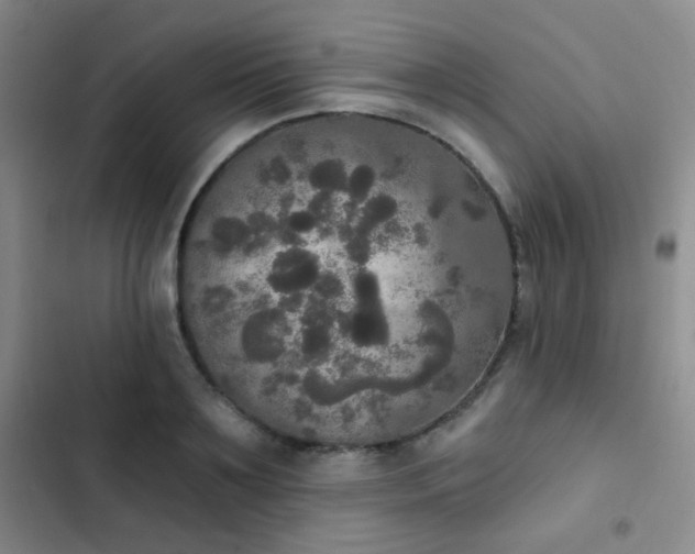 X0000103220891200808281405