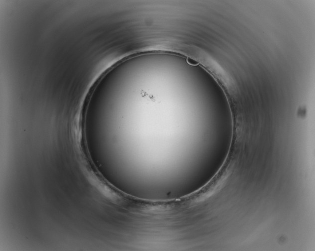 X0000103220892200808281405