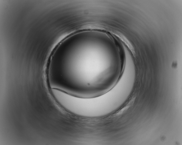 X0000103220893200808281405