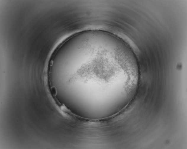 X0000103220894200808281405