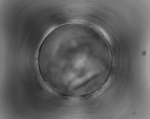 X0000103220899200808281405