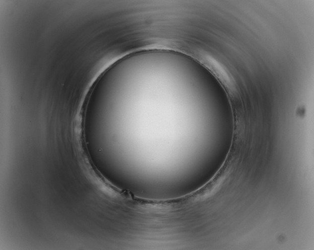 X0000103220900200808281405
