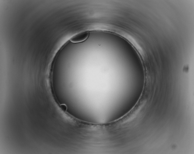 X0000103220901200808281405