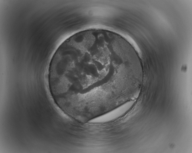 X0000103220903200808281405