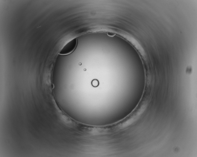 X0000103220905200808281405