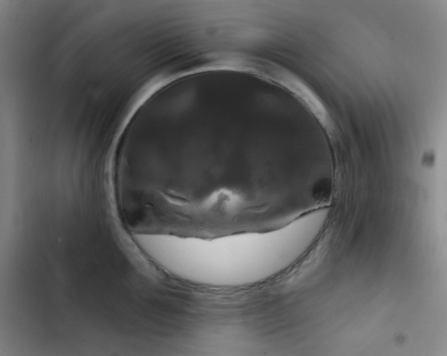 X0000103220907200808281405