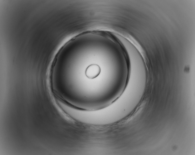 X0000103220909200808281405