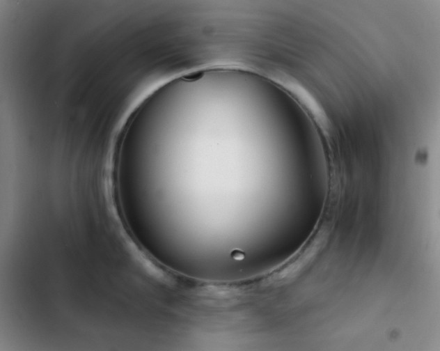 X0000103220910200808281404