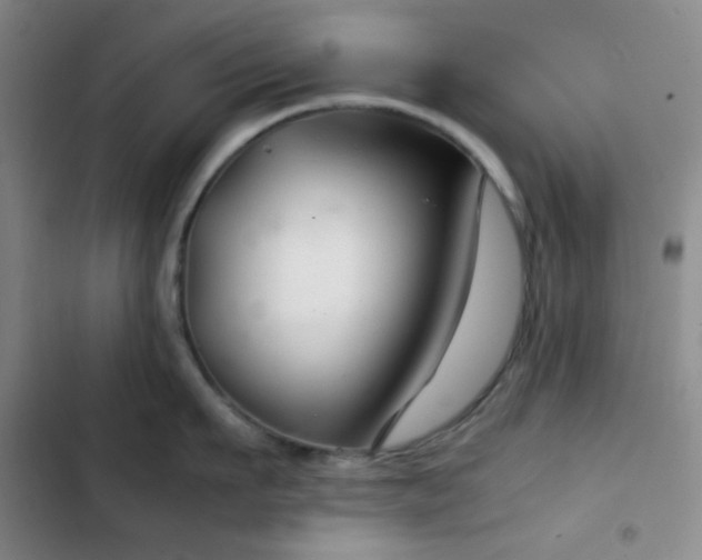 X0000103220911200808281404