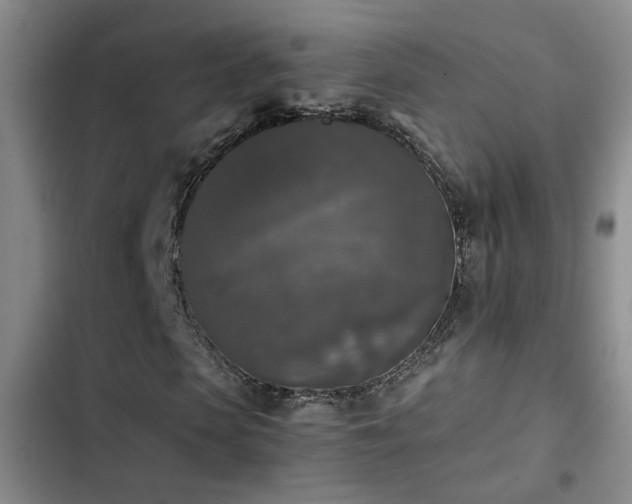 X0000103220913200808281404