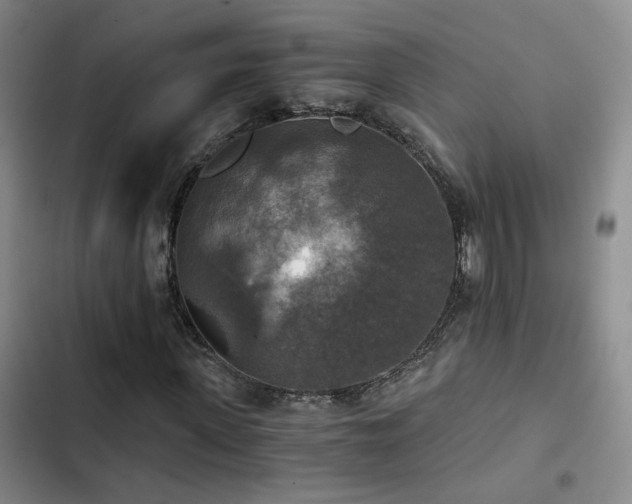 X0000103220915200808281404