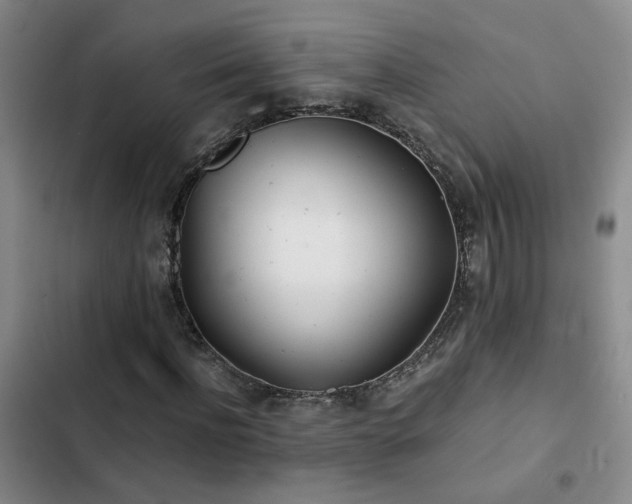 X0000103220916200808281404