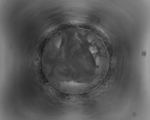 X0000103220917200808281404