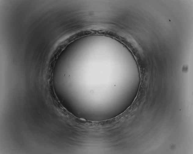 X0000103220920200808281404