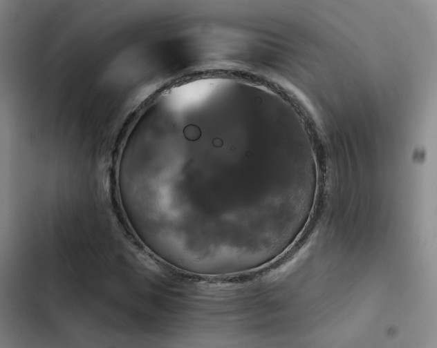 X0000103220921200808281404