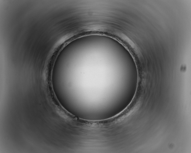 X0000103220922200808281404