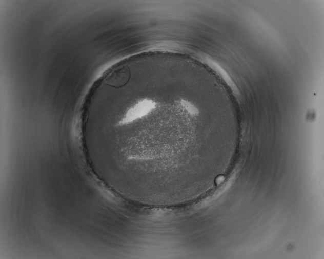 X0000103220923200808281404