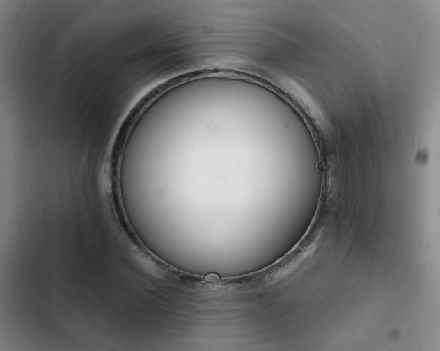 X0000103220924200808281404
